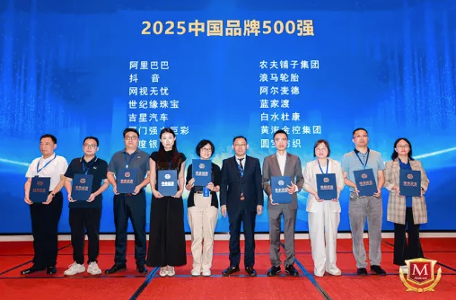品牌价值再升级！网视无忧荣膺“2025中国品牌500强”&“2025品牌强国行业榜·十大领军品牌”